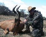 A hunter and his red hartebeest trophy.