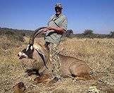 Roan antelope trophies are measured by their horns.