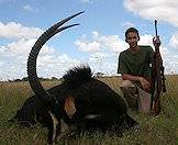 A young hunter sits proudly with his sable antelope trophy.