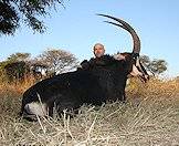 A sable antelope hunted with ASH Adventures.