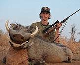 The warthog's lower tusks can become quite sharp.