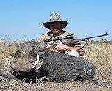 Warthogs are sought-after trophies.