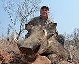 A hunter smiles above his warthog trophy.