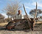 The waterbuck is one of the large species of antelope available for hunting.
