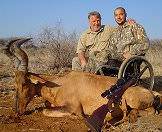 A red hartebeest hunted with assistance.
