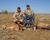 Impalas and blesbok are popular plains game trophy inclusions.