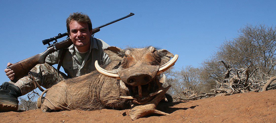 A warthog hunt in South Africa's bushveld region.