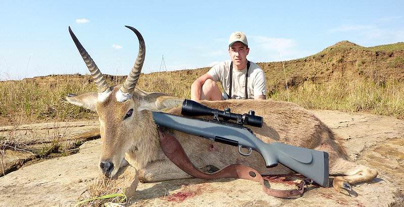 A common reedbuck trophy positioned for a photograph.