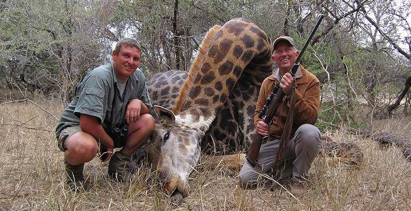 A pair of professional hunters crouch down alongside their giraffe trophy.