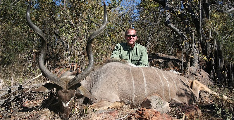 A greater kudu hunted in South Africa.