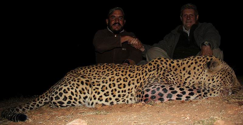A nighttime leopard hunt.