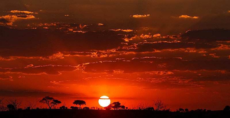 A dramatic African sunset.