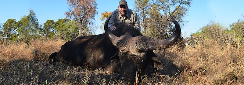 A hunter with his buffalo trophy.