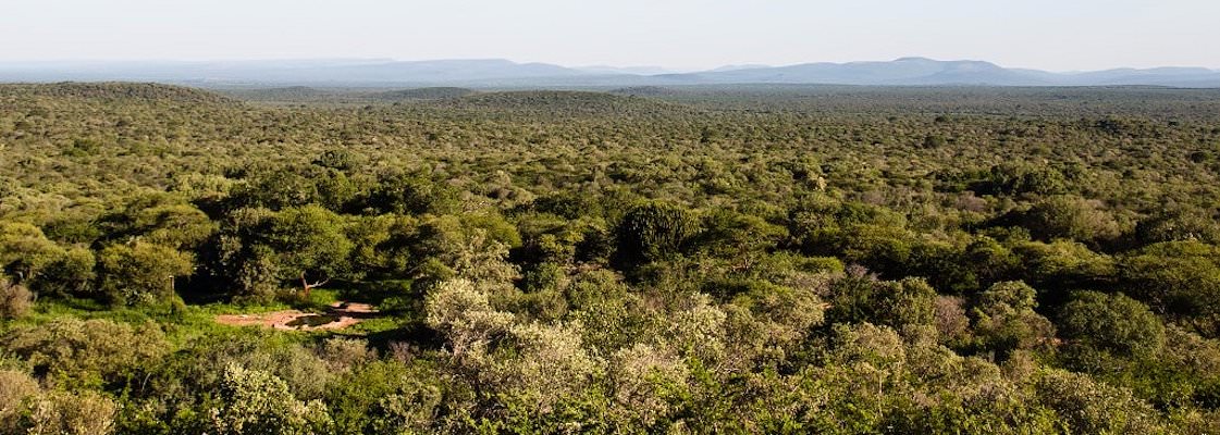 Scenic shot in the Kalahari.