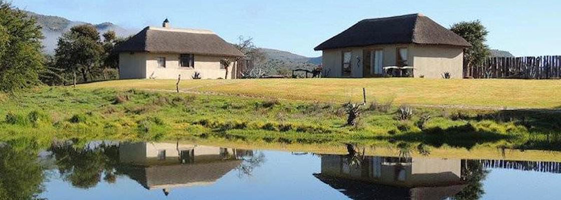 The camp's thatched units overlook a waterhole.