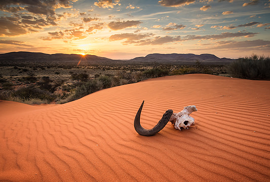 Beautiful scenery in Namibia where desert meets grass.