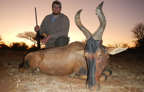 A hunter crouches alongside a fine red hartebeest trophy.