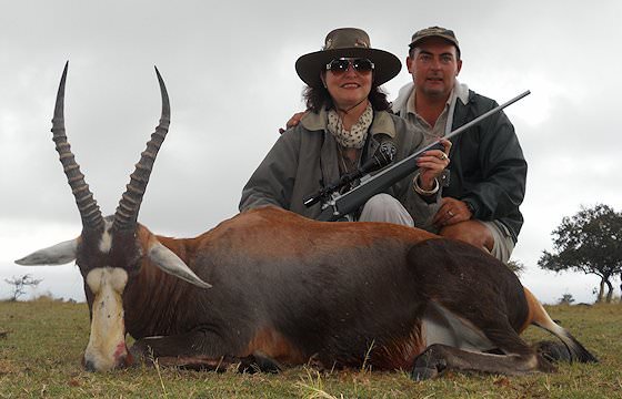 A blesbok taken during a 5 Day Beginner's Bushveld Hunting Package.