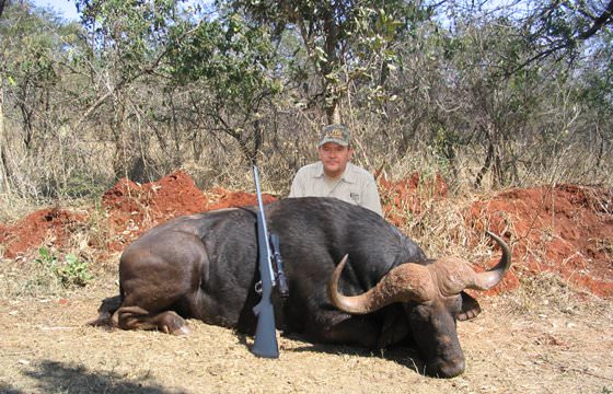A hunter sits behind his Cape buffalo trophy.