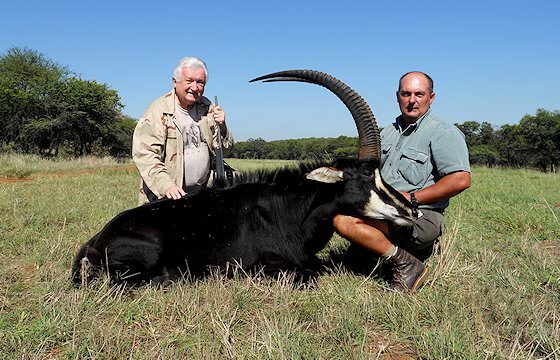A successful sable antelope hunt in South Africa.