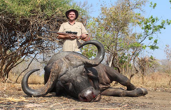 A hunter stands triumphantly behind his Cape buffalo trophy.