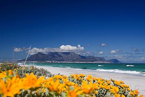 Table Mountain in the distance.