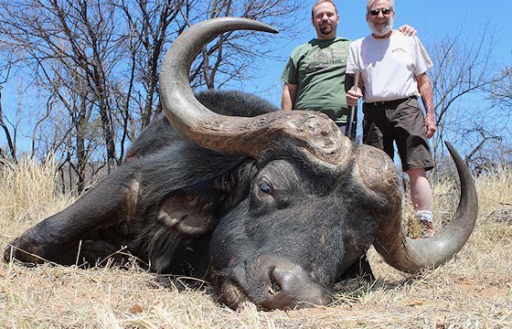 A pair of hunters stand proudly alongside their Cape buffalo trophy.