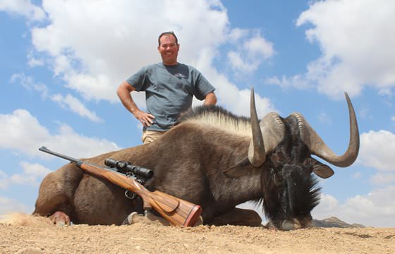 A fine black wildebeest taken on a hunt in the Free State.