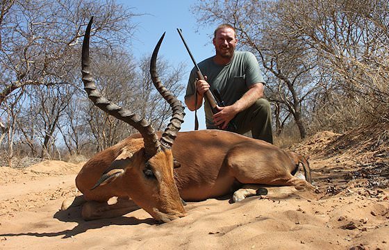 An impala hunt in South Africa.