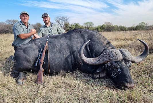 A Cape buffalo trophy with an intense hard boss.