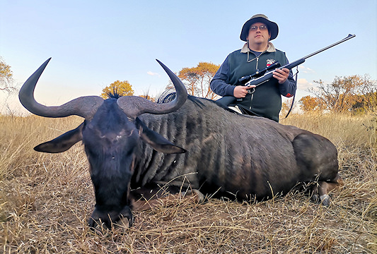 Blue wildebeest are popular for hunting in the bushveld.
