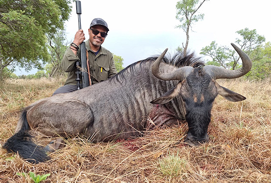 Blue wildebeest can be hunted on a variety of different terrains.