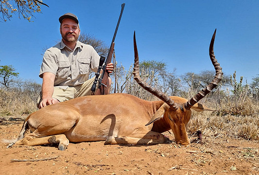 An impala ram hunted on safari.