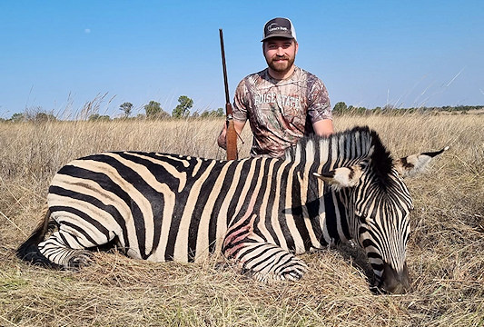 A zebra hunted in the eastern Free State.