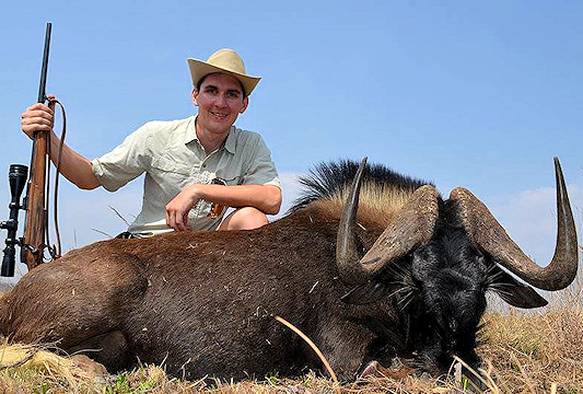 A black wildebeest hunted in the eastern Free State.