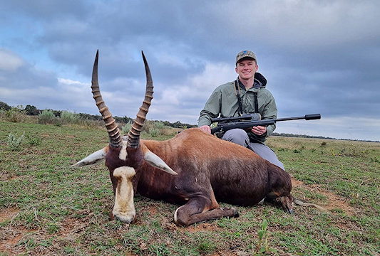 A blesbok hunted on a safari in South Africa.