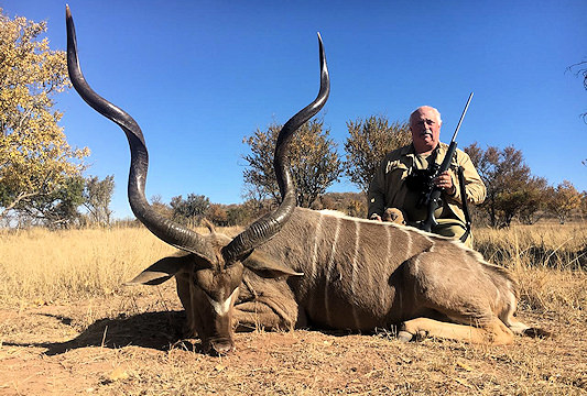 Kudus are a sought-after plains game species.