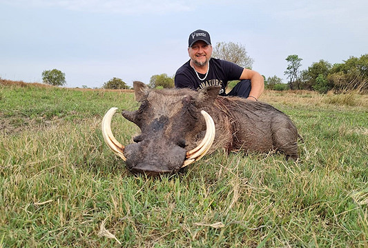 Warthog can be hunted throughout Southern Africa.