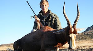 Blesbok closely resemble bontebok.