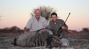 A blue wildebeest hunt.