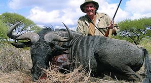 A hunter sits behind his blue wildebeest trophy.