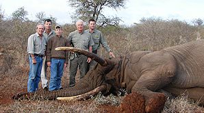 A hunter poses atop his elephant trophy.