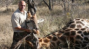 A hunter holds up his giraffe trophy.