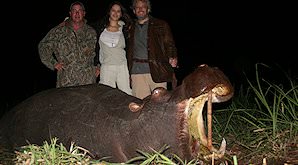 An evening hippo hunt in Zimbabwe.