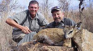 A klipspringer trophy is perched on a rock for a photograph.