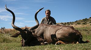 Kudus are a sought-after plains game species.