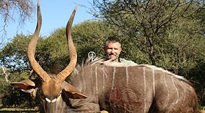 A successful nyala hunt in South Africa.