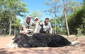 An ostrich trophy is held up for a celebratory photograph.