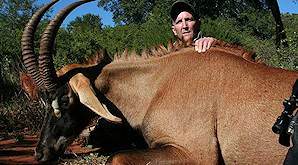 A hunter sits behind is enormous roan antelope trophy.