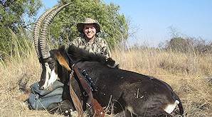 A sable antelope hunt in South Africa.